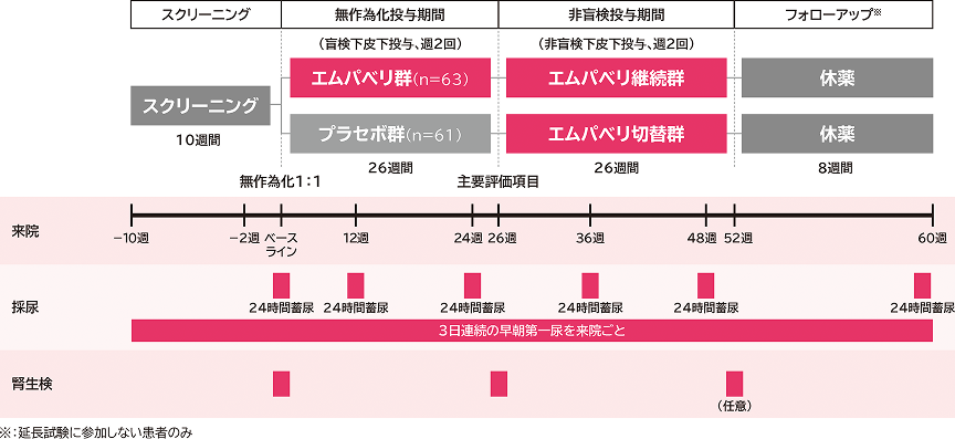 投与スケジュール（仮画像／差し替え予定）