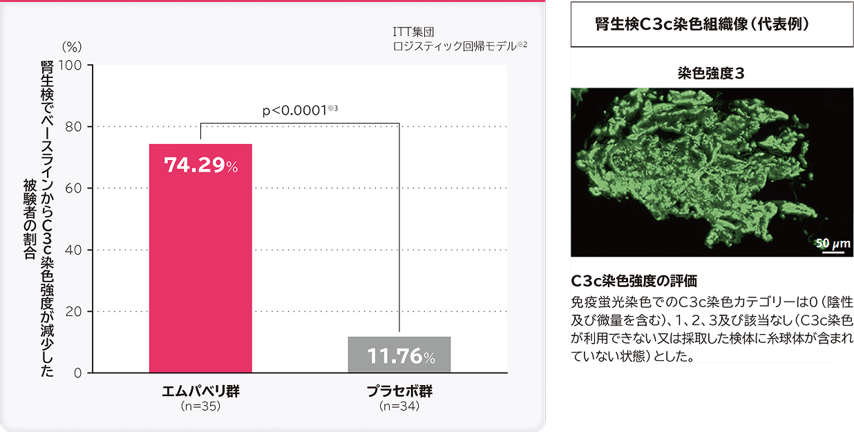 26週時点の腎生検でベースラインからC3c染色強度が減少した被験者の割合（仮画像／差し替え予定）
