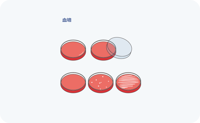 血培